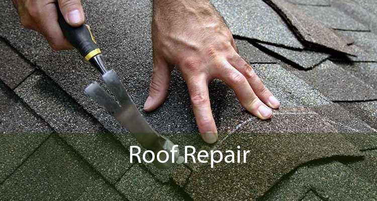 Roof Repair 